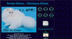 Desktop Screenshot of nymews.com