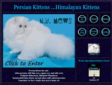 Tablet Screenshot of nymews.com
